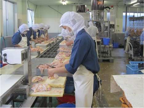 TuyỂn 30 NỮ ChẾ BiẾn ThỰc PhẨm_628d411fea392.jpeg